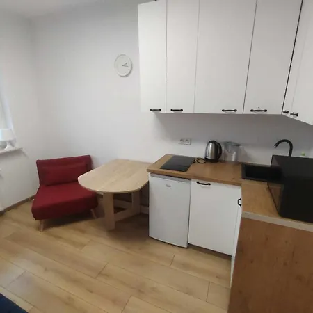 Apartament Studio Z Rozkladana Sofa