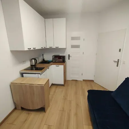 Apartment Studio Z Rozkladana Sofa Warsaw